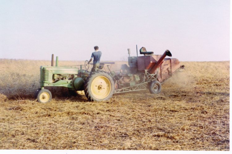 Remembering Dad’s Tutelage in Raising “Cash Crops”